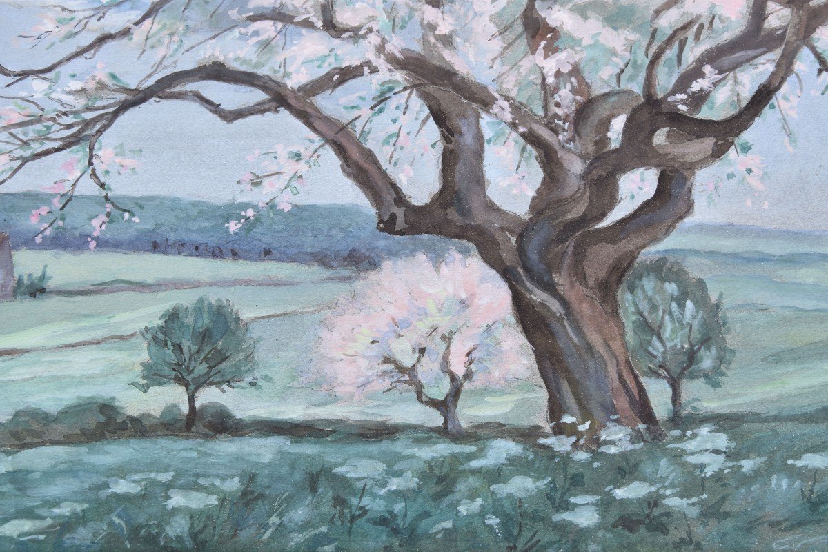 Théodore BUCHHOLD "Les arbres en fleurs" gouache 33x45-photo-1